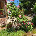 Casa Di Paolo E Roberta * Santa Teresa Gallura