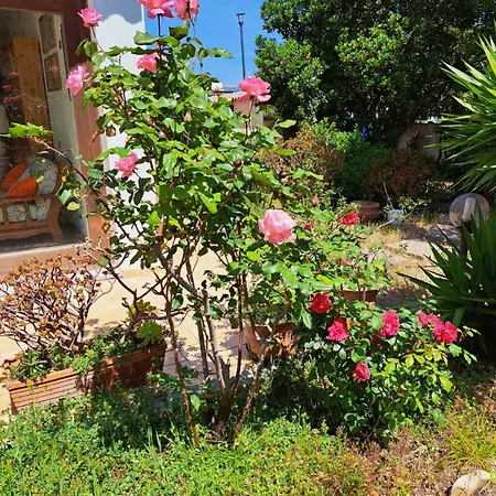 Casa Di Paolo E Roberta * Santa Teresa Gallura