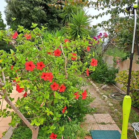 Feriehus Casa Di Paolo E Roberta Santa Teresa Gallura
